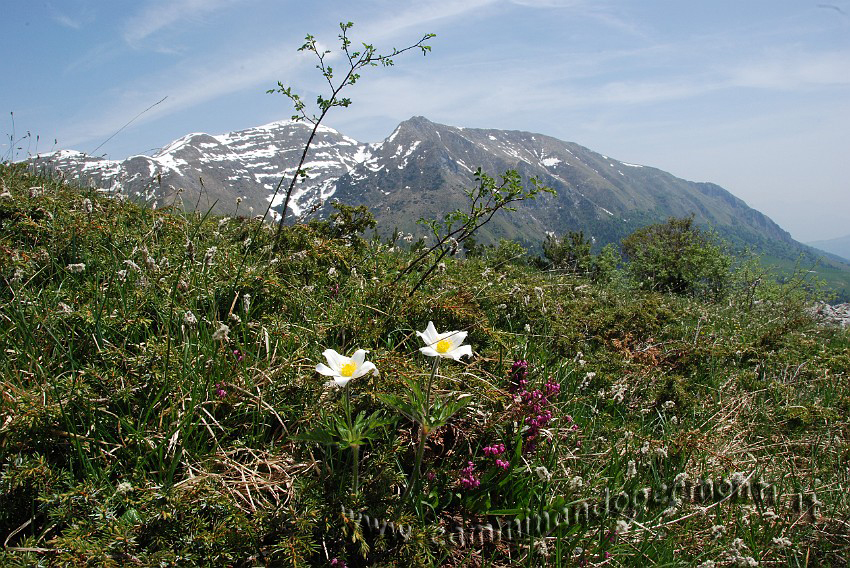 25 Sentiero Rifugio Capanna 2000.JPG